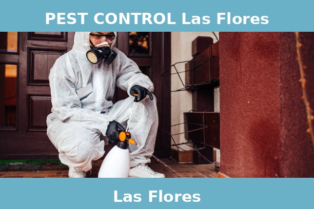 PEST CONTROL Las Flores